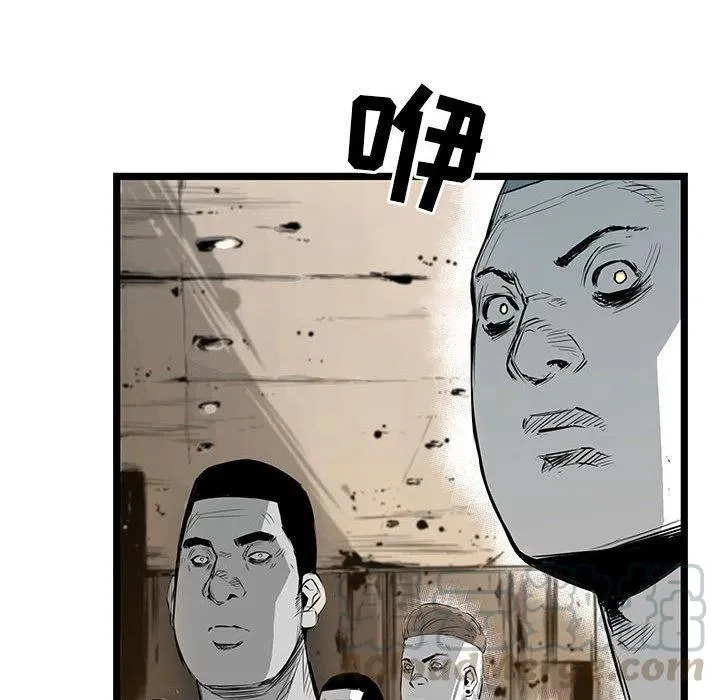 23 第113页