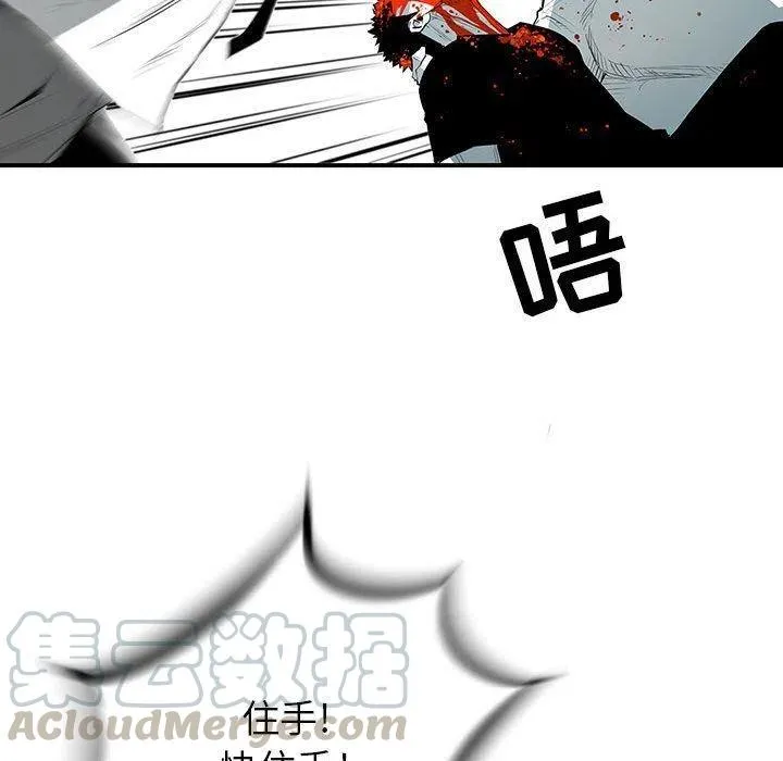 28 第41页