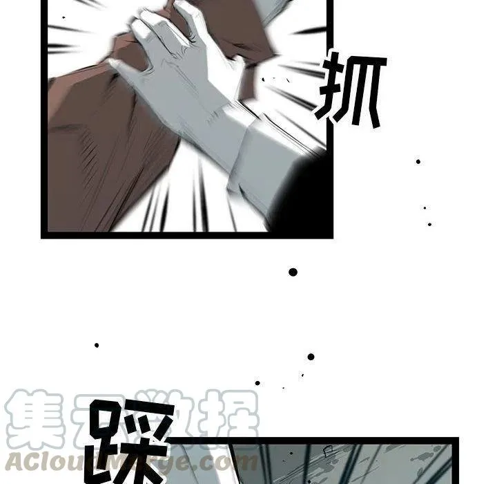 31 第113页