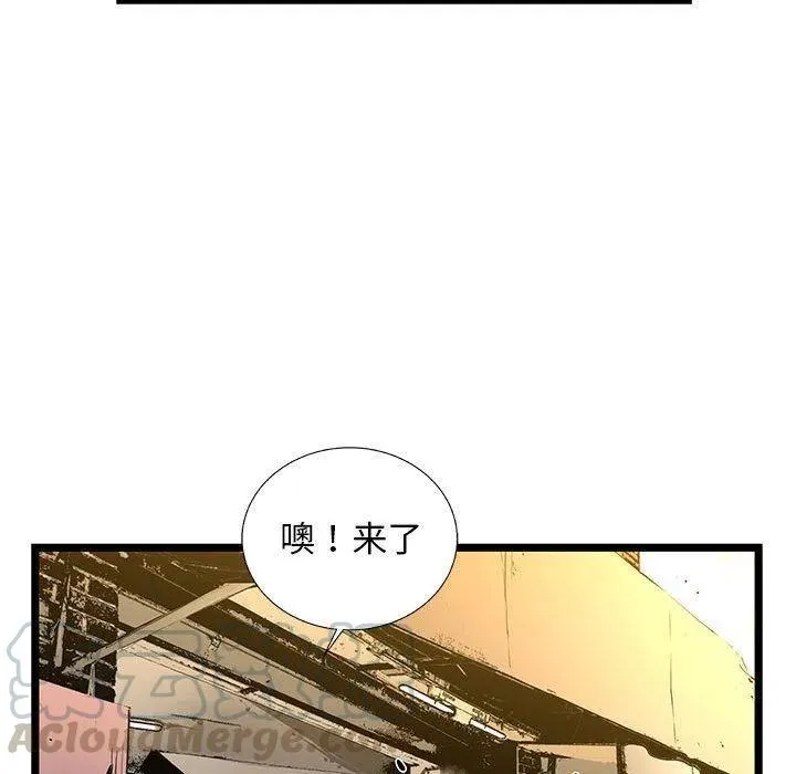 32 第113页