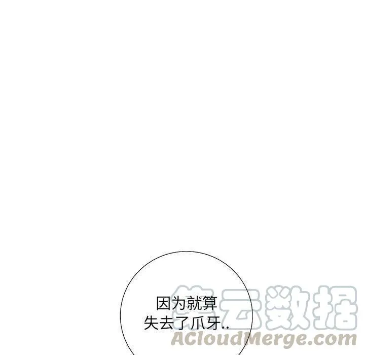 33 第29页