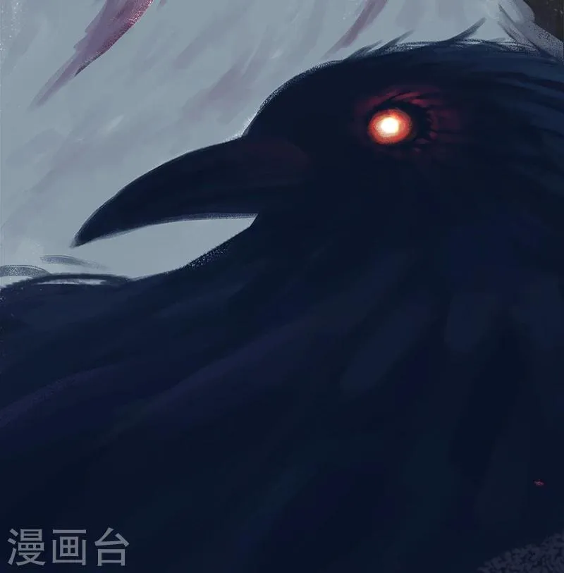 预告 第11页