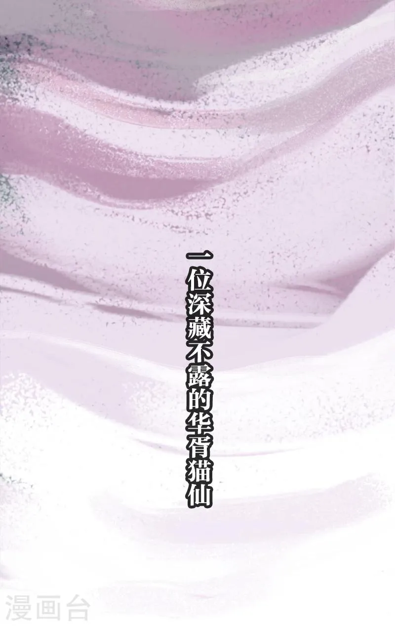 预告 第13页