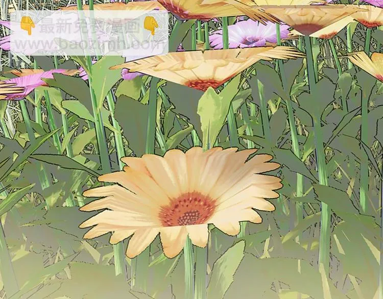 完结篇 恢复色彩 第105页