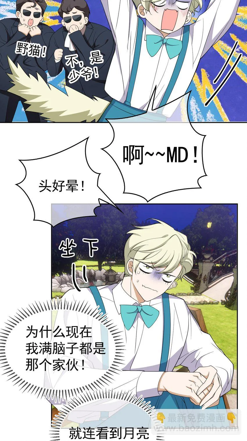 85 对月思春的野猫 第3页
