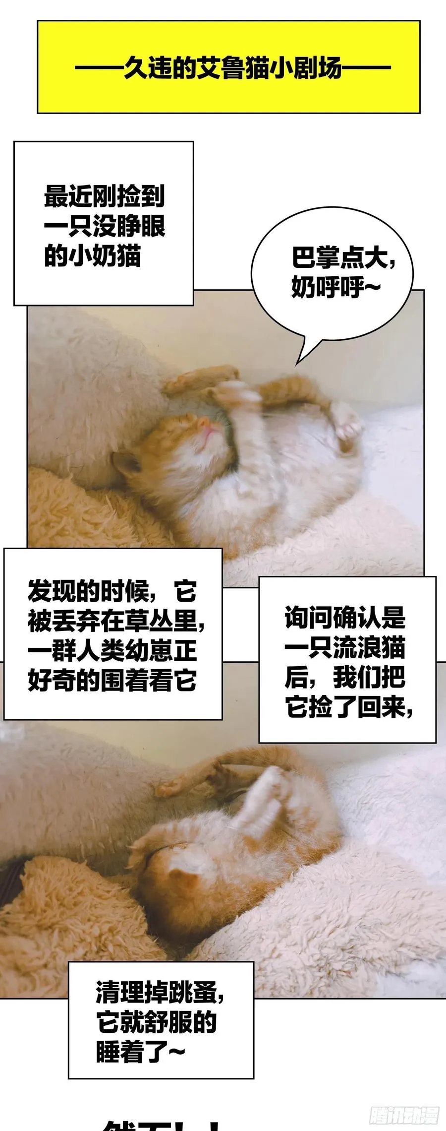 41 能救我的只有我自己 第26页