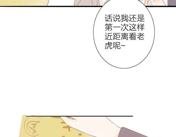 虎虎小剧场 第5页