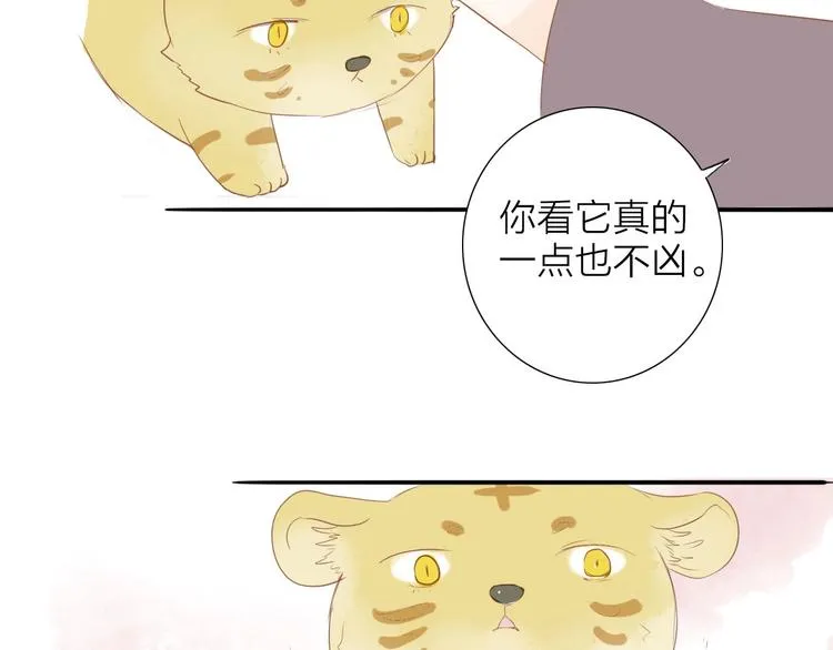 虎虎小剧场 第6页