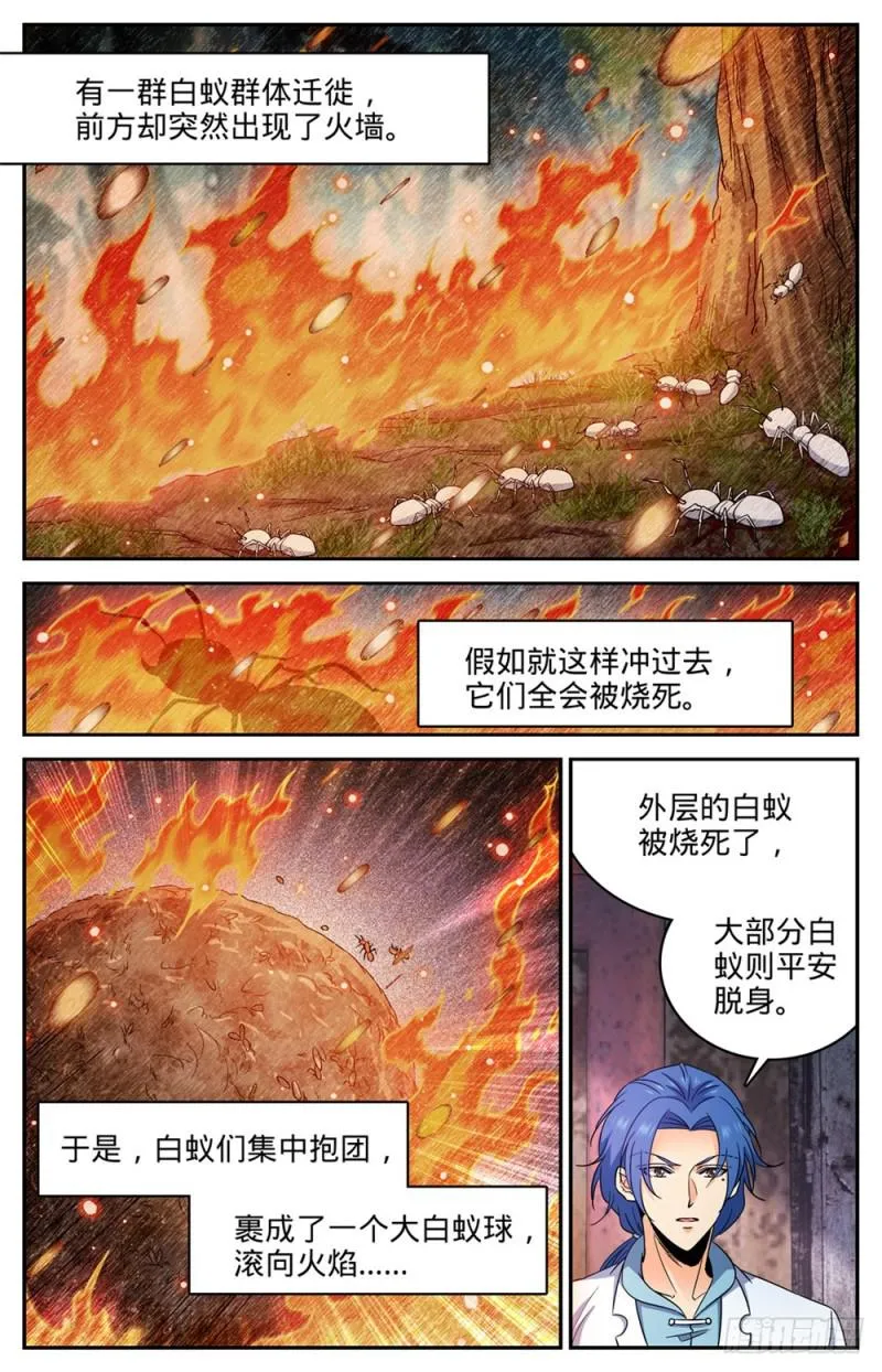 411 白蚁求生 第5页