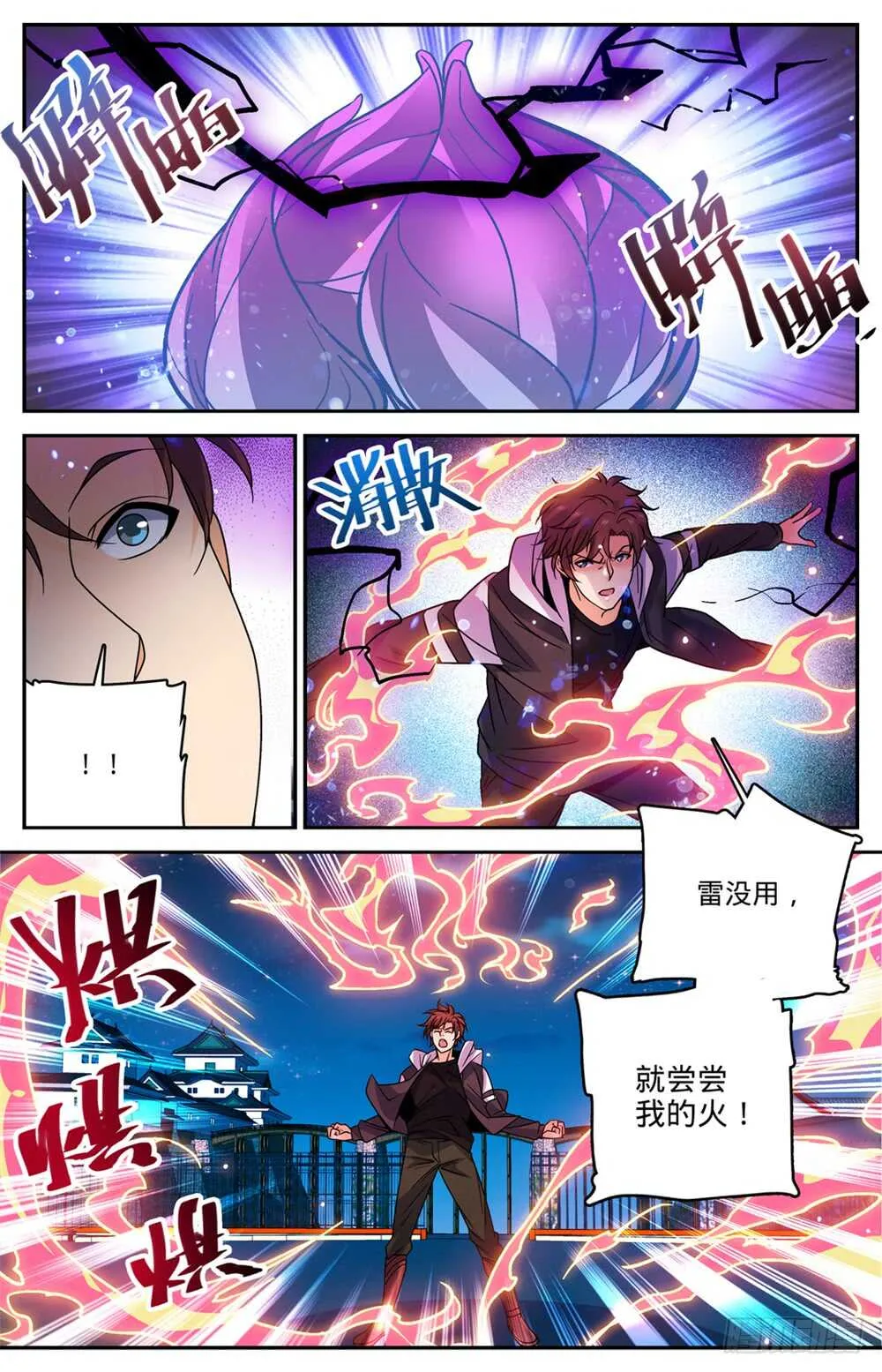 493 植体种子 第4页