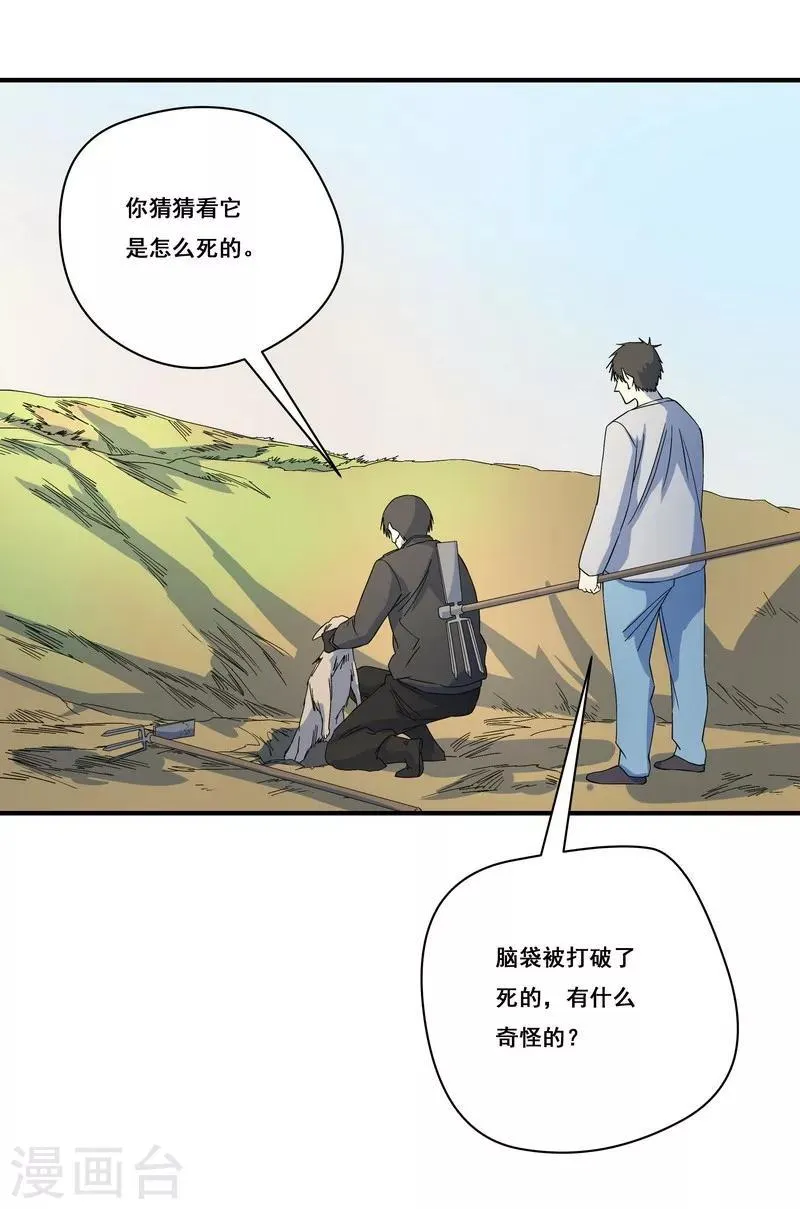 第25话 死者是高小龙？ 第11页