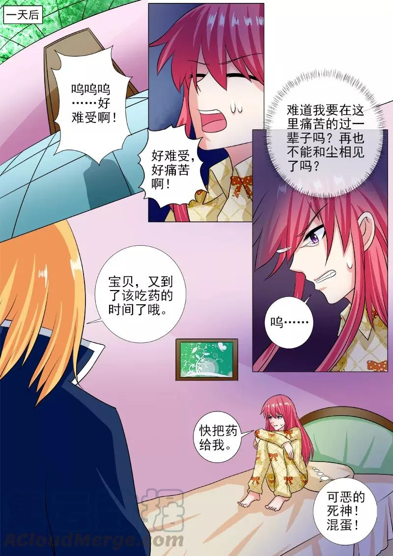 第241话 主动戴上耳环 第3页