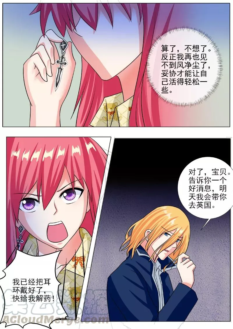 第241话 主动戴上耳环 第7页