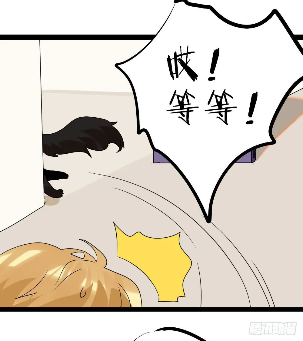 第二十八话：互补的人与猫？ 第25页