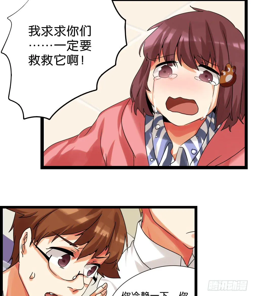 第三十一话：活要见猫，死要见毛 第7页
