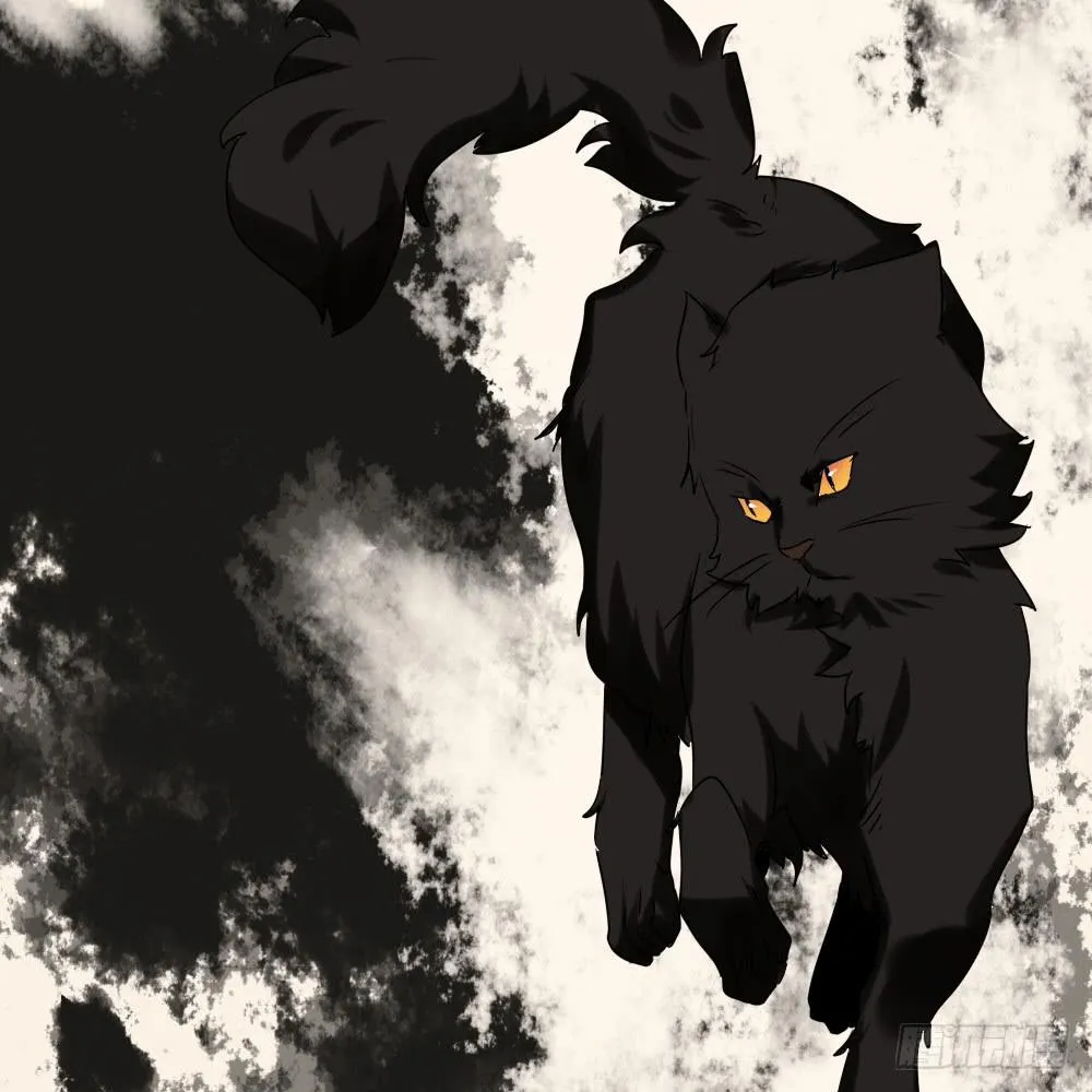 第三十一话：活要见猫，死要见毛 第12页
