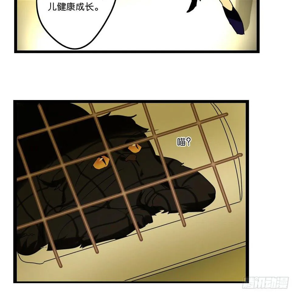 第三十一话：活要见猫，死要见毛 第16页