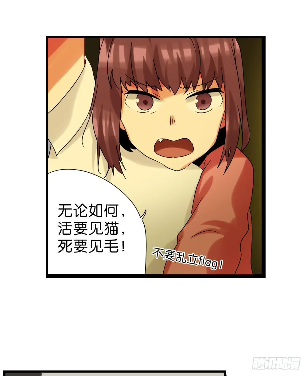 第三十一话：活要见猫，死要见毛 第25页