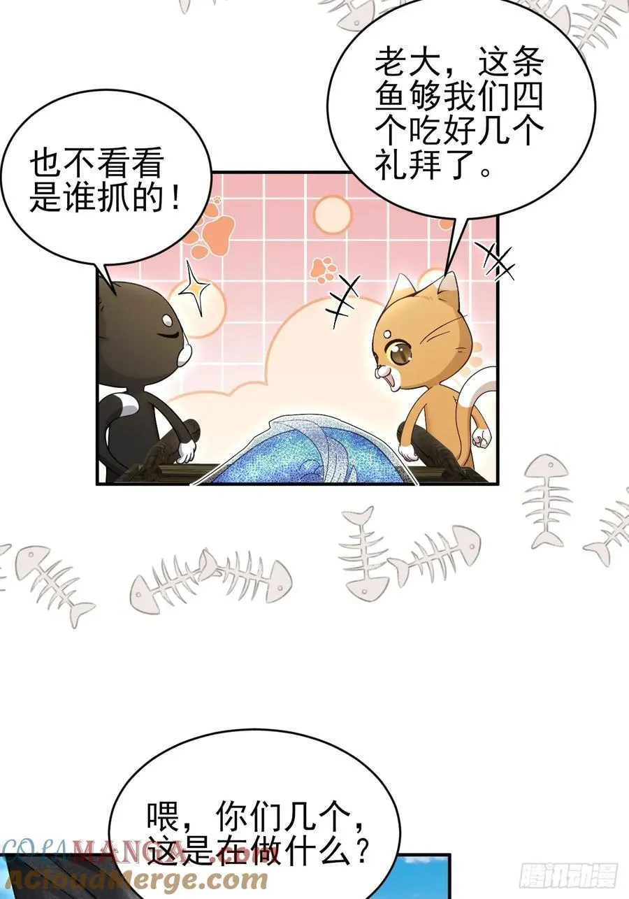 小人鱼历险记-1 第16页
