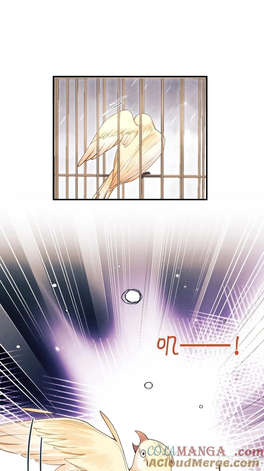 167.赠鸟 第13页