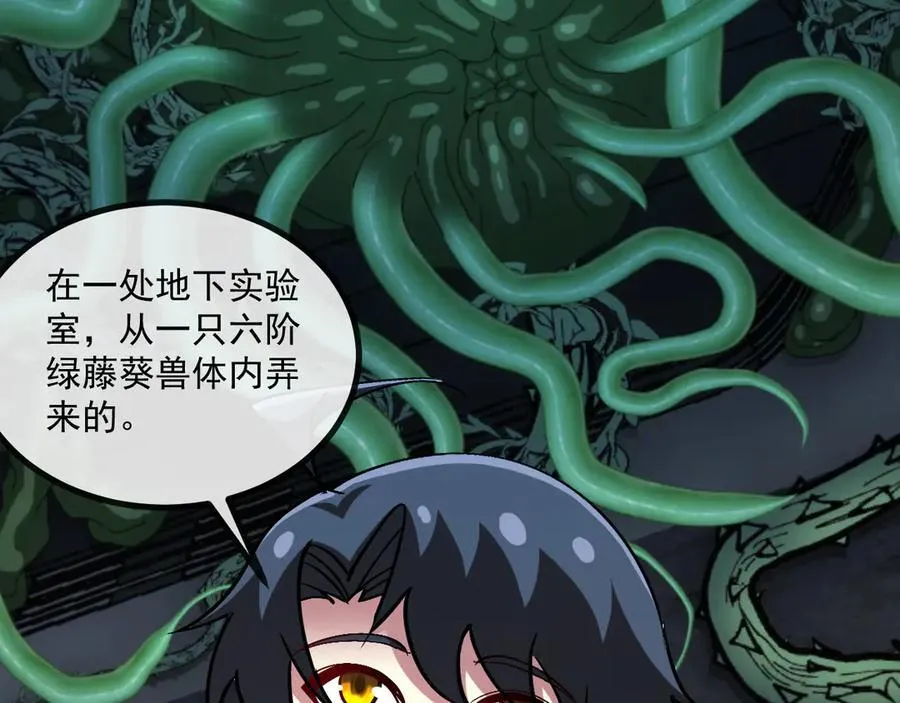 第153话： 岛屿下方 第14页
