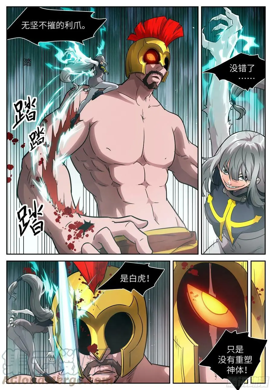 598 白虎是母的？！ 第11页