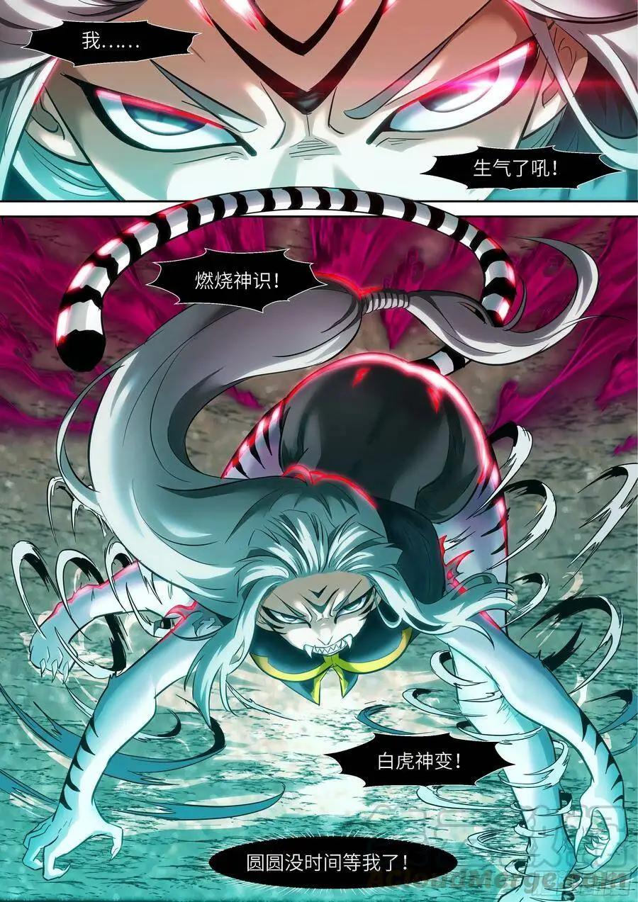 527 燃烧神识 白虎神变 第12页