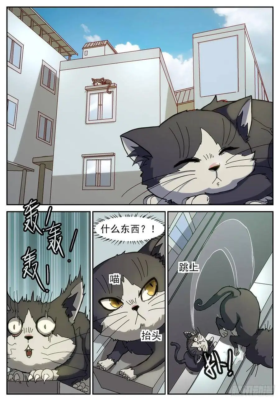 谁在高空坠物？！ 第6页