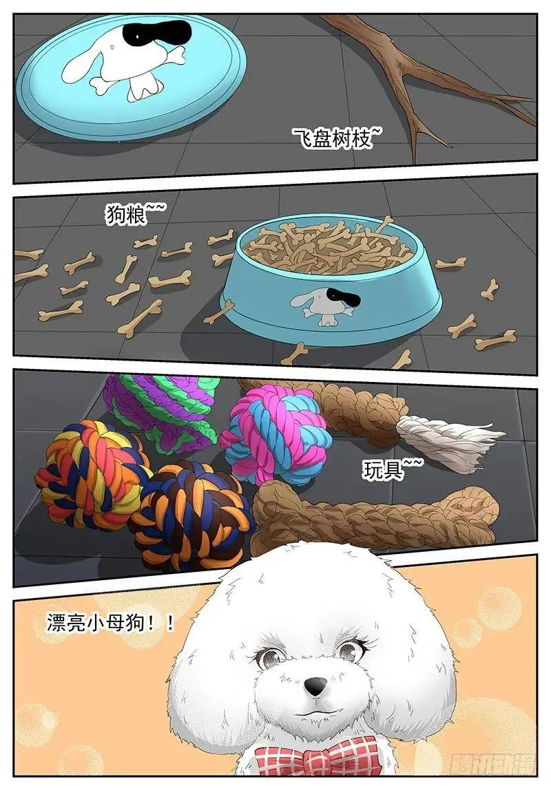 突如其来的丘比特之箭 第3页