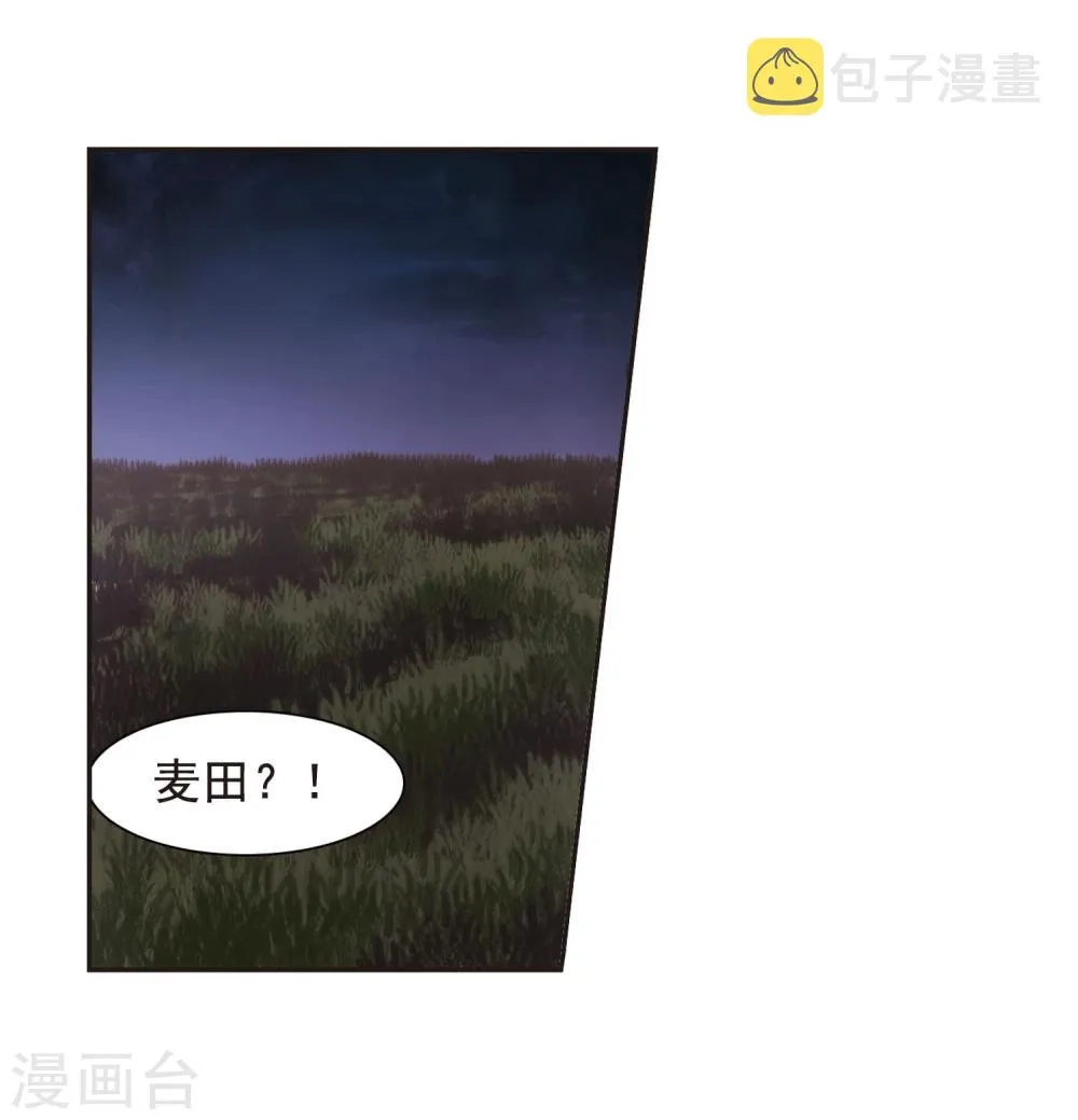 第131话 麦田结界3 第15页