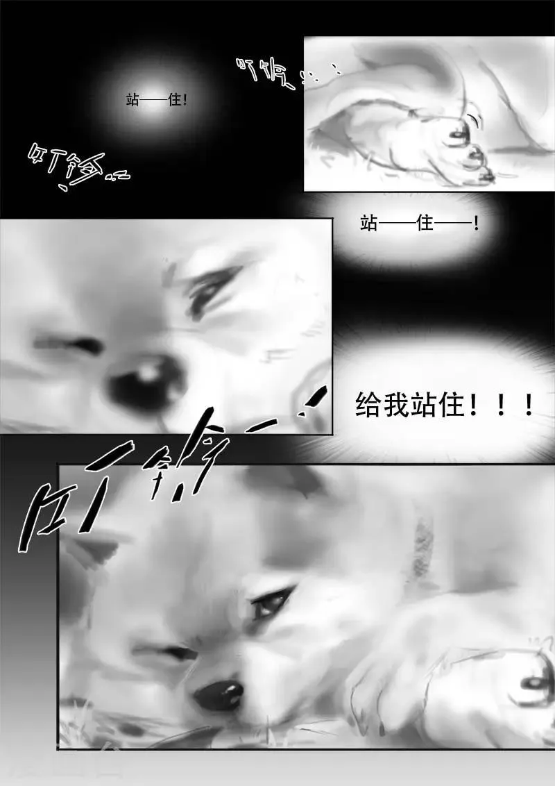第1话 相遇 第12页