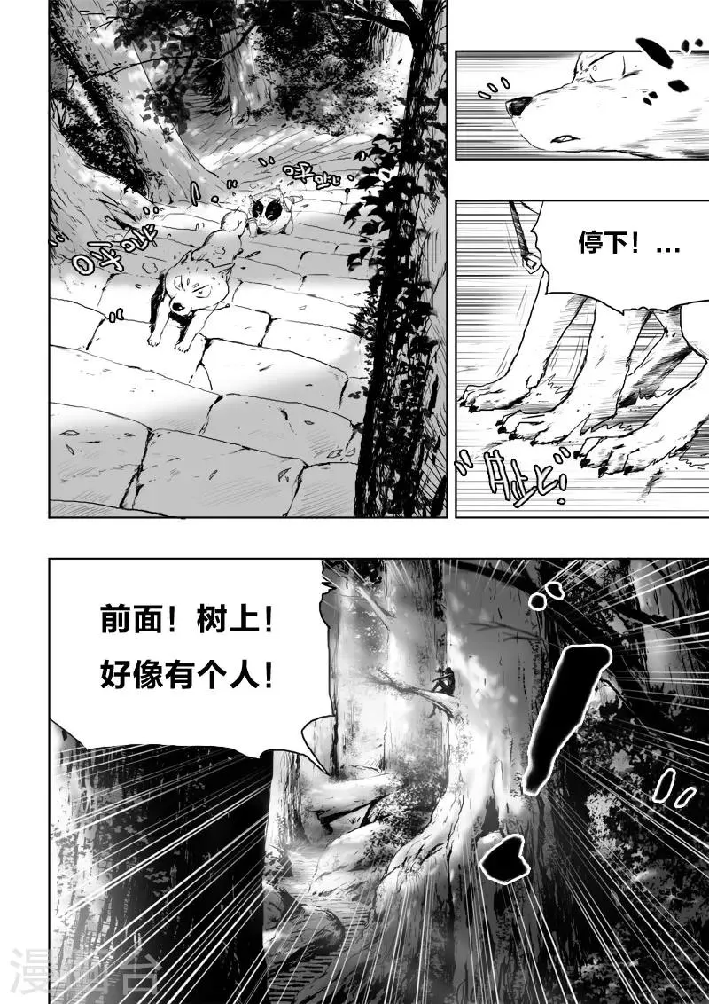 第11话 青丘 第14页