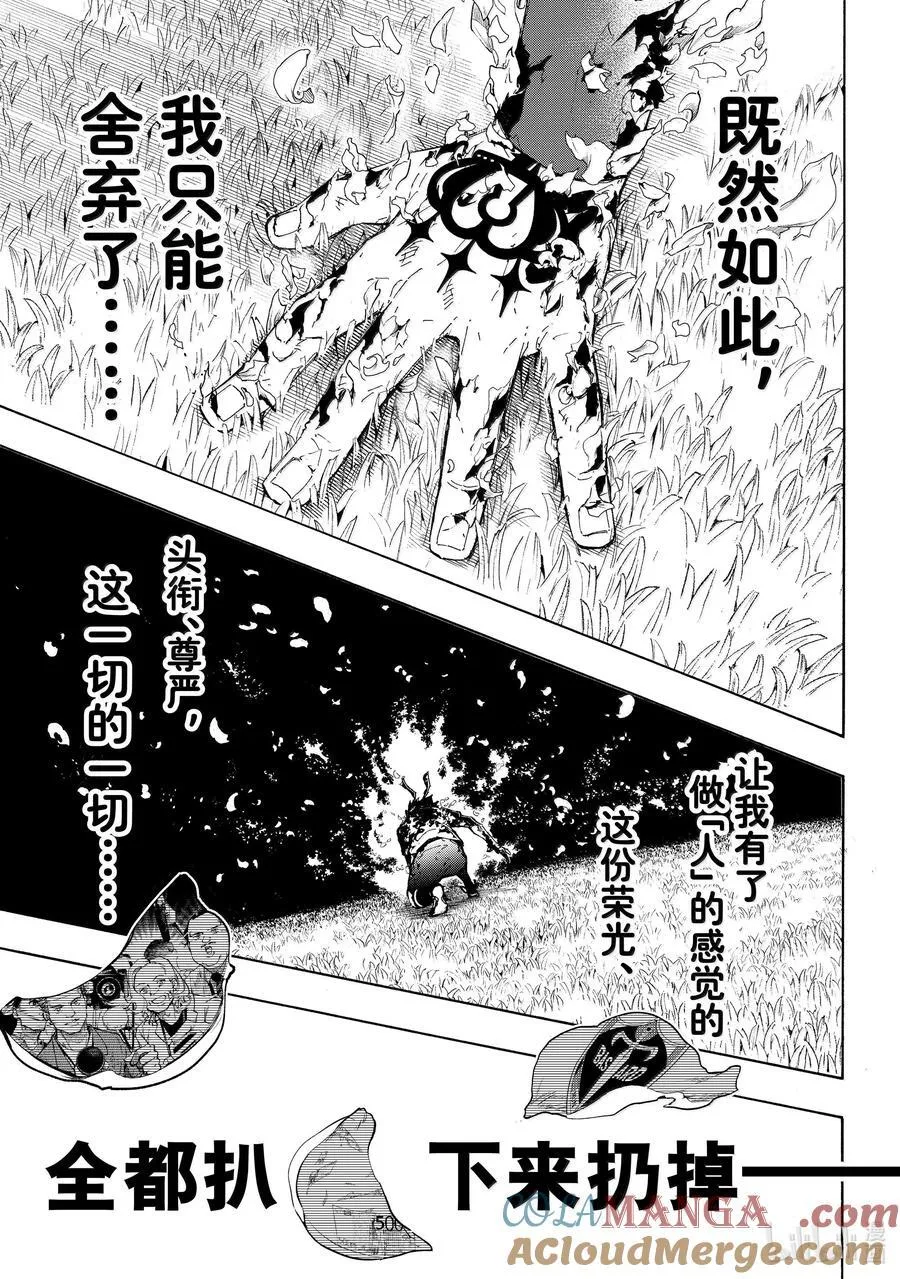 262 ZERO 第15页