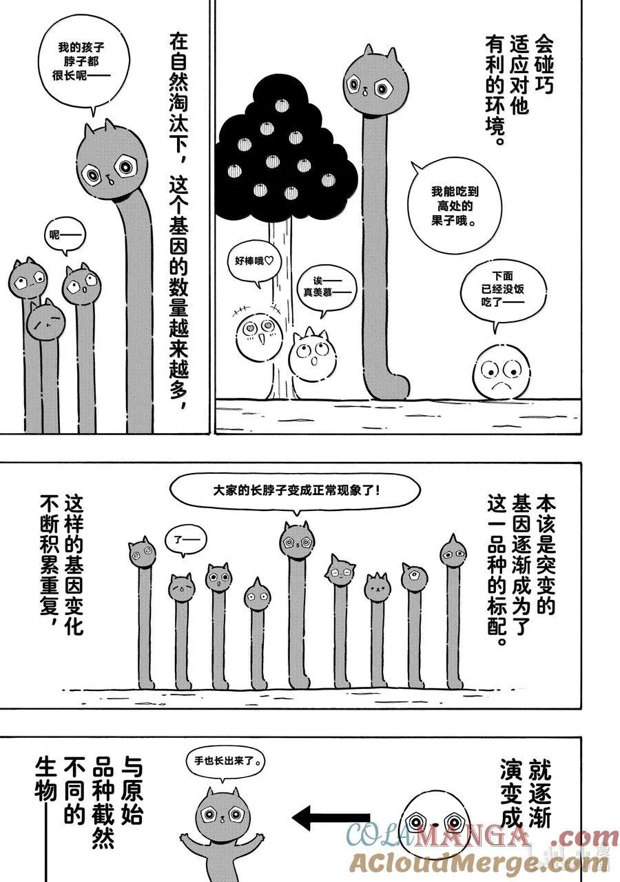 281 进化的方程式 第3页