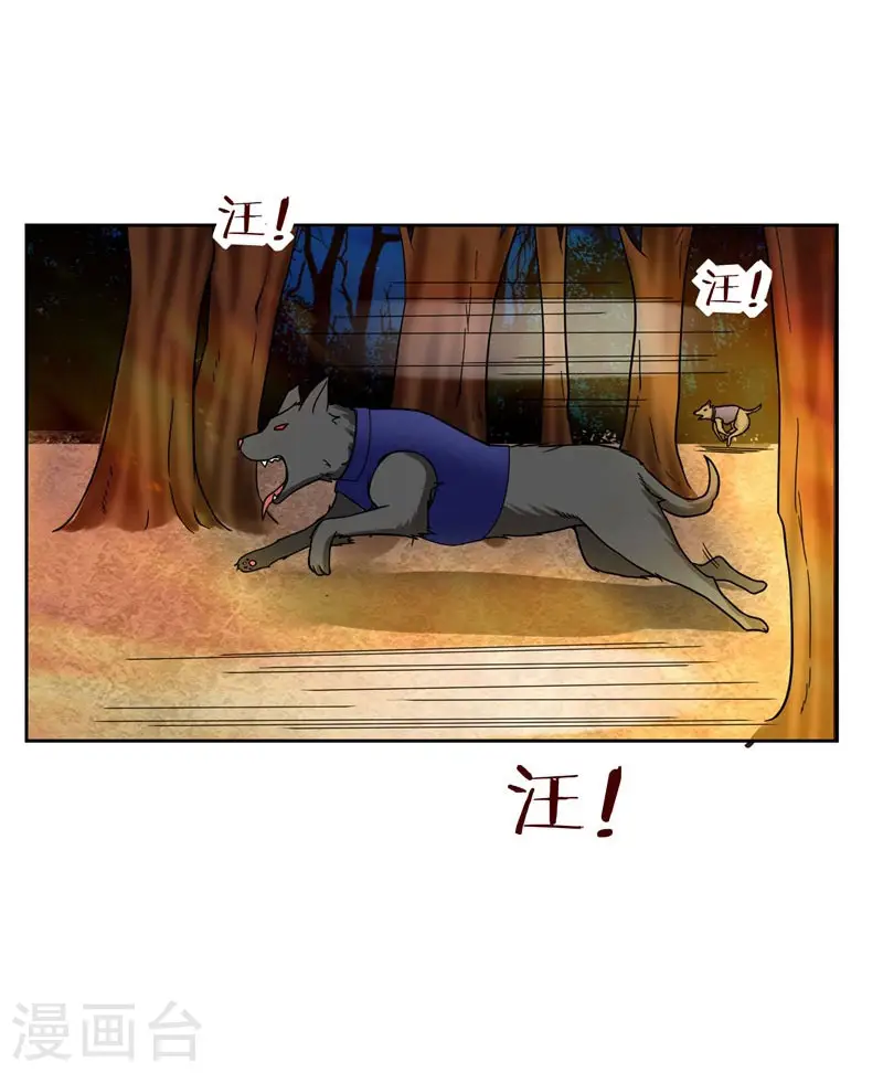 第19话 酒吧遇袭 第11页