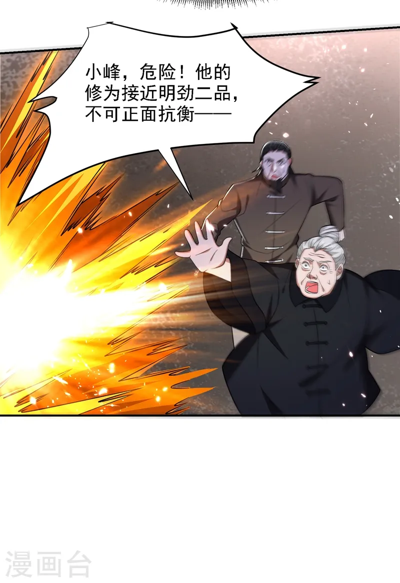 第167话 我罗峰专治各种不服 第27页