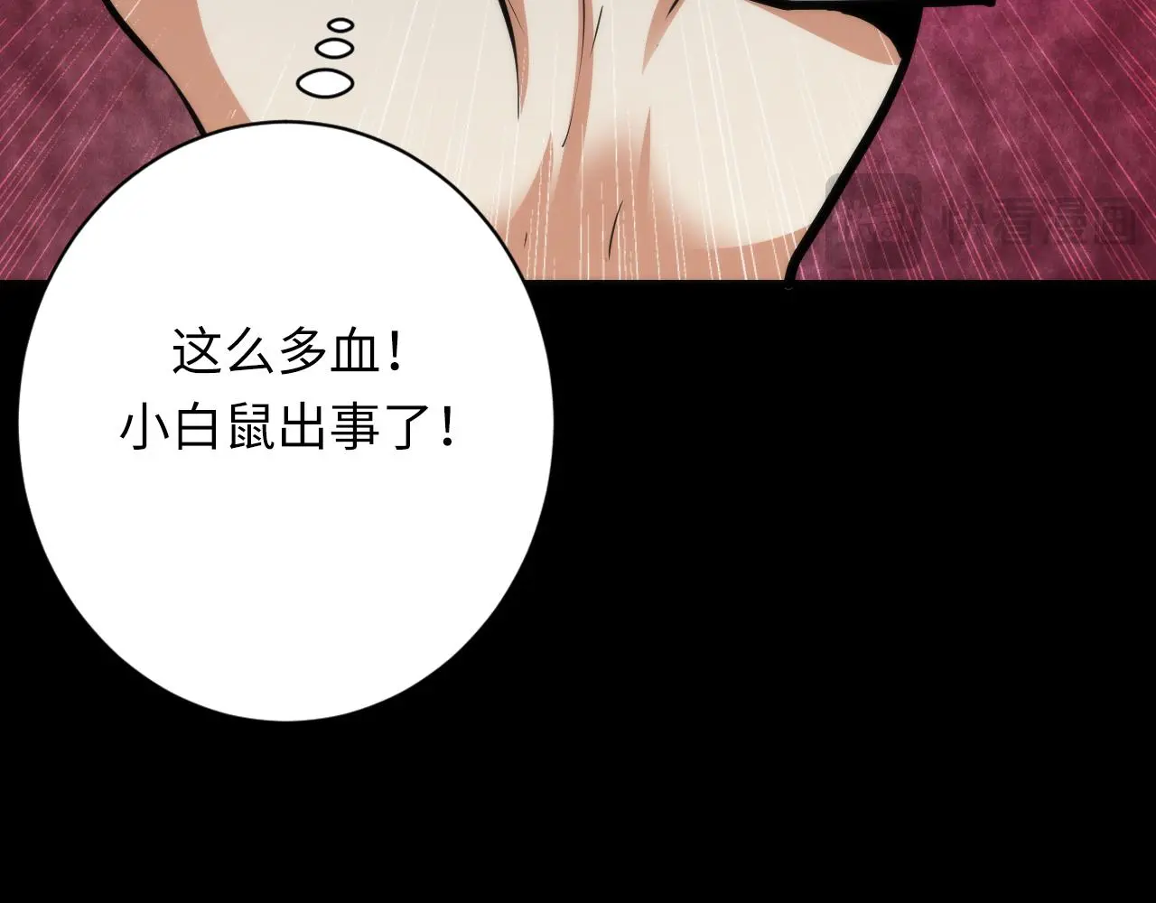 第248话 血染的白鼠 第114页