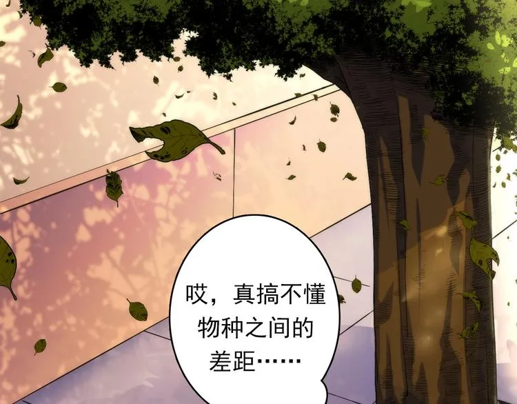 第24话 远古旧神 第6页