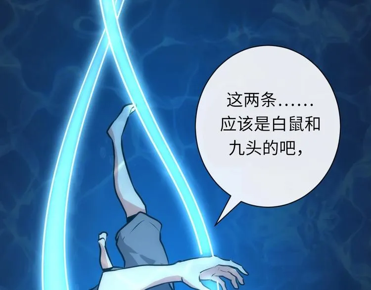 第40话 热门视频博主 第37页