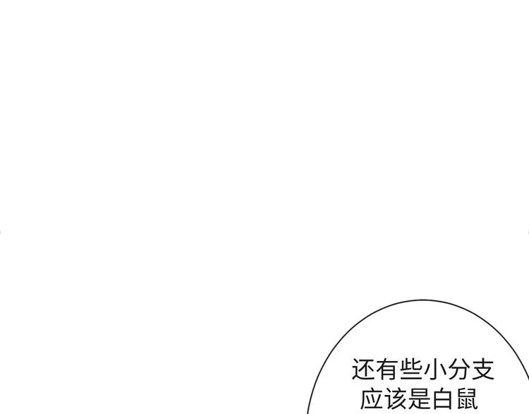 第40话 热门视频博主 第40页