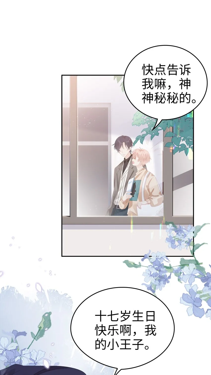 034 生日快乐，我的小王子 第17页