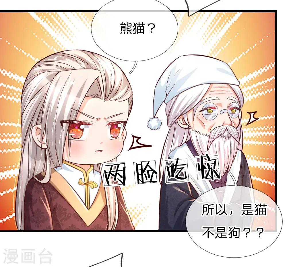 第96话 熊猫啊是熊猫啊！ 第11页