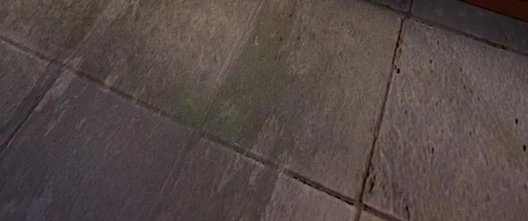 第16话 这是吃醋了？ 第20页
