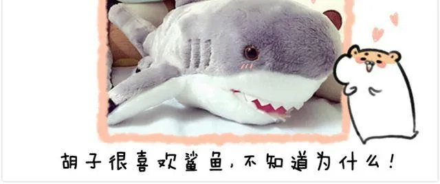 第24话 海洋公园 第25页