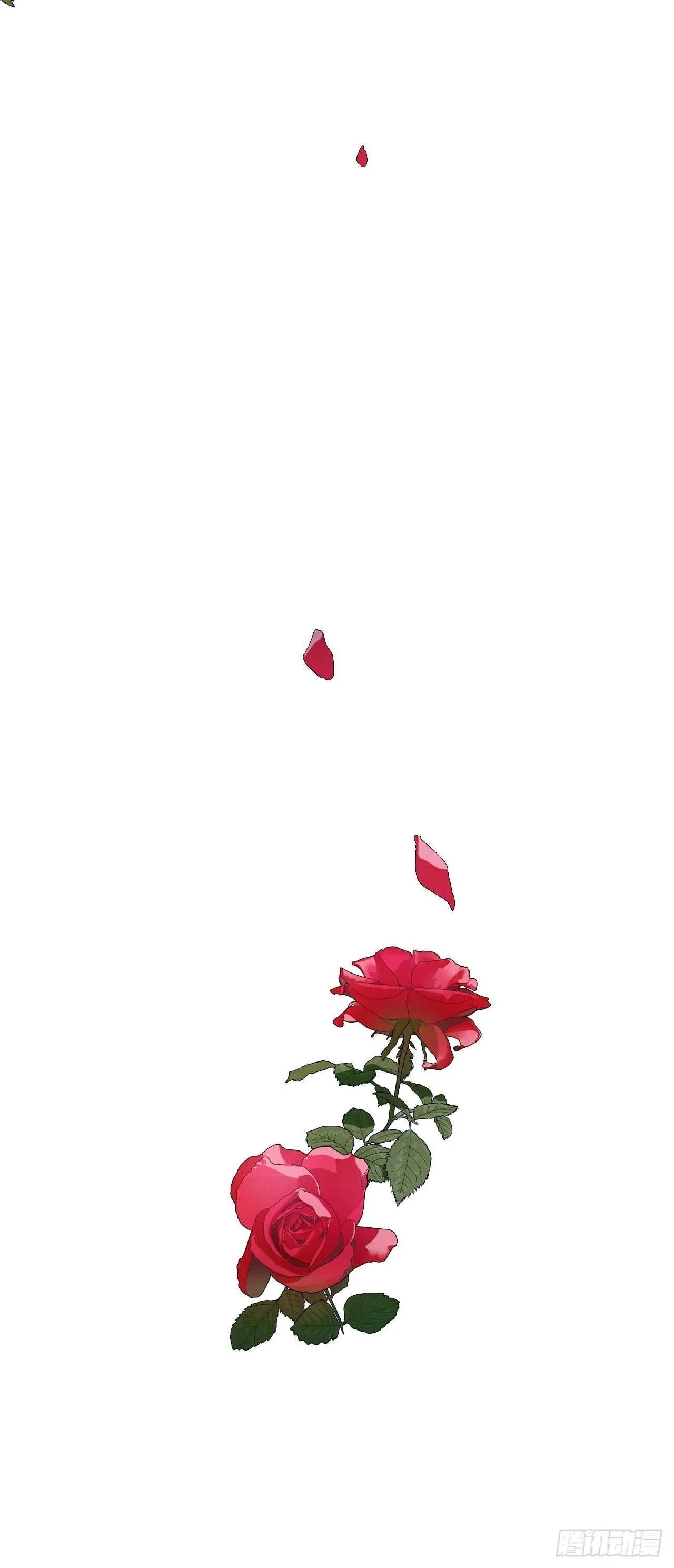 2 第54页
