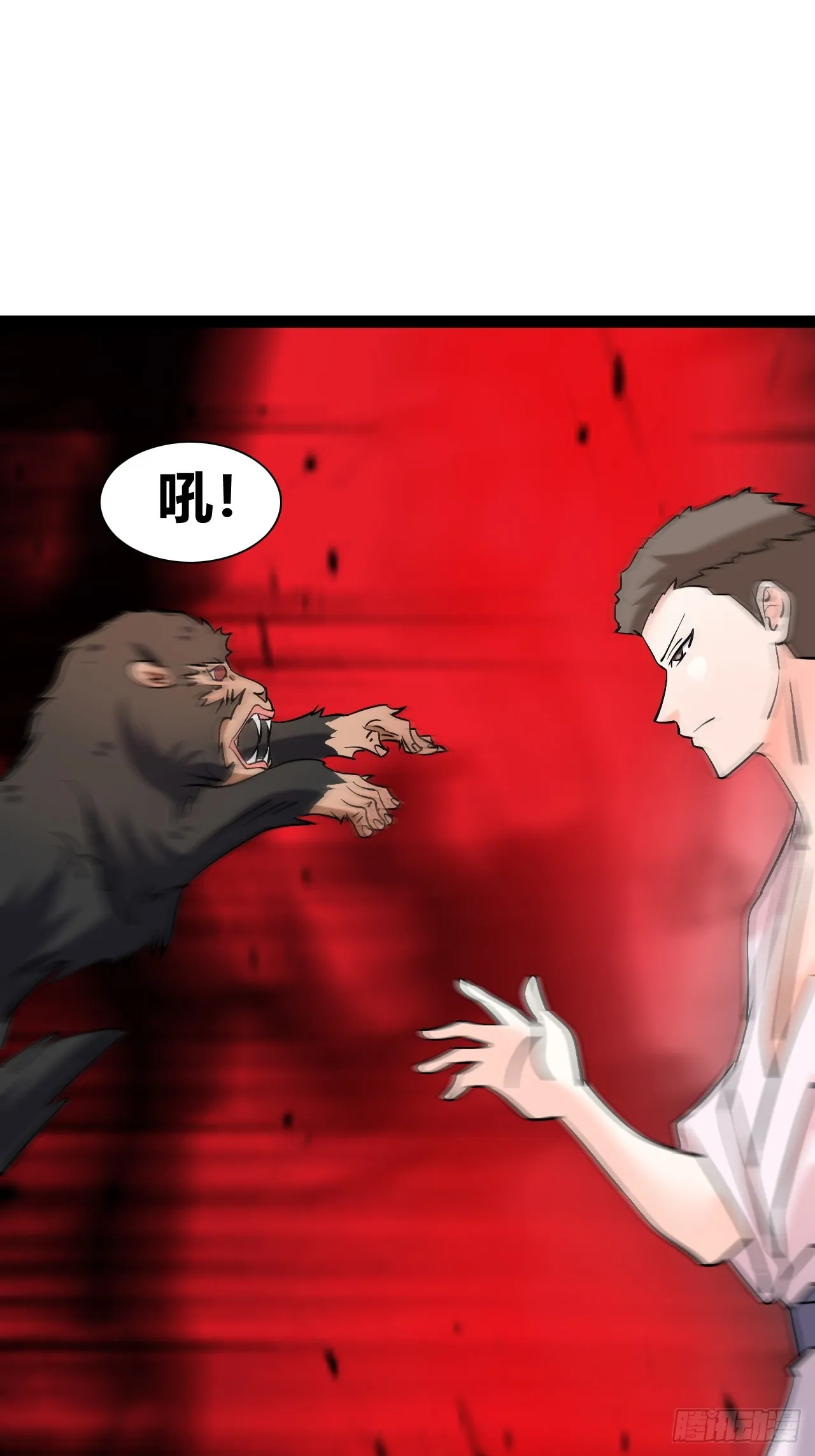 47 第48页