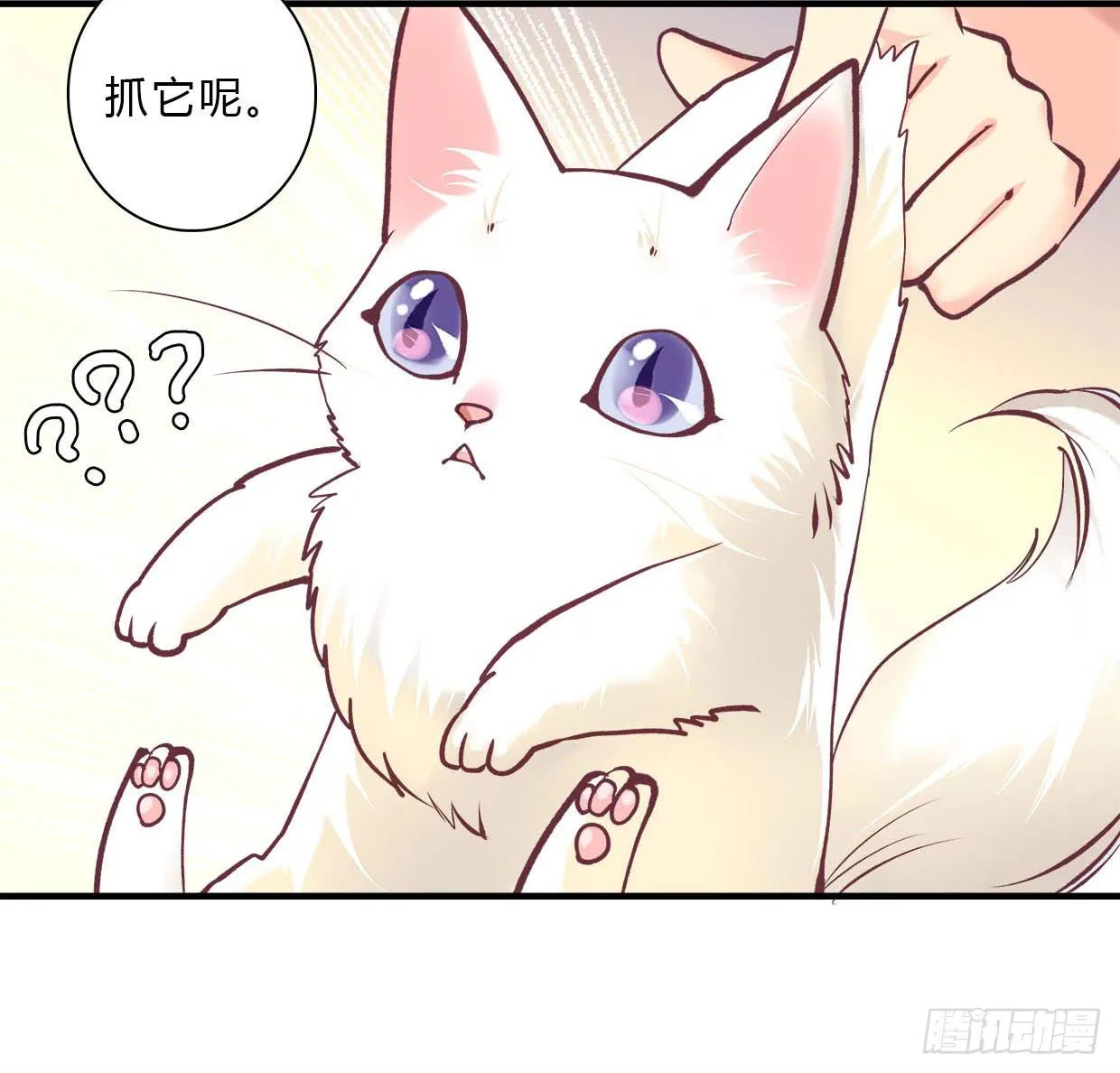 15 第24页