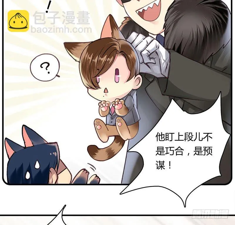 60 第36页