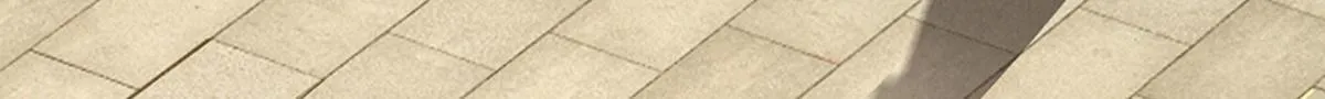 第346话 扔入深渊，还敢嘴硬 第77页