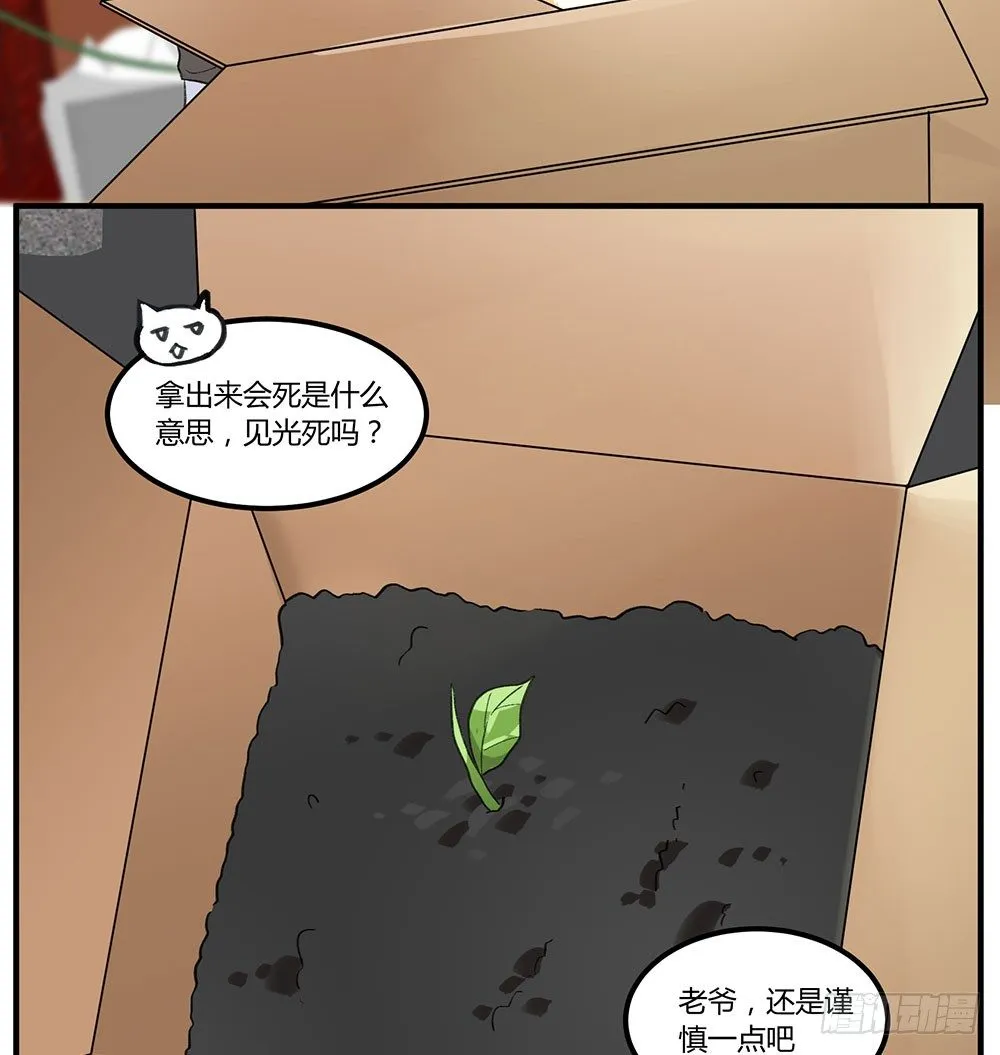 狂战士请离开厨房 第45页
